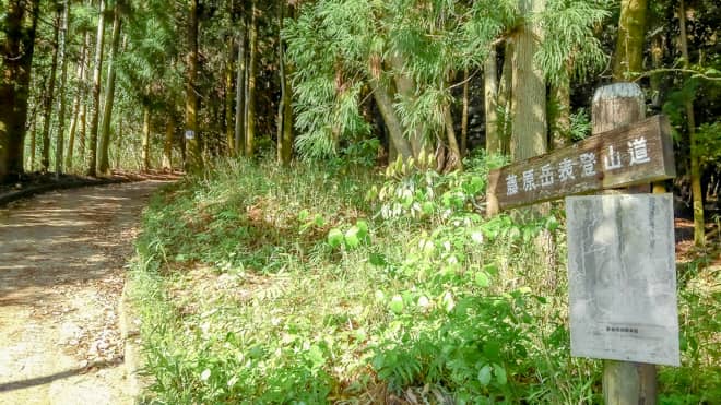 藤原岳表登山道
