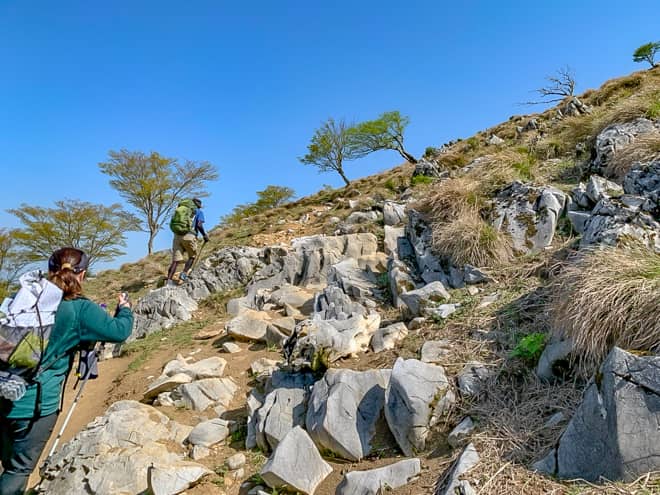 見晴らしの良いカルスト地形が広がる山容ですが