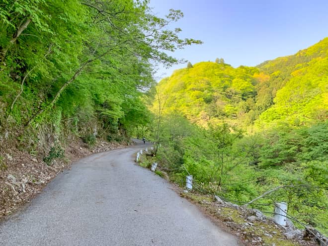 距離は長いのですが