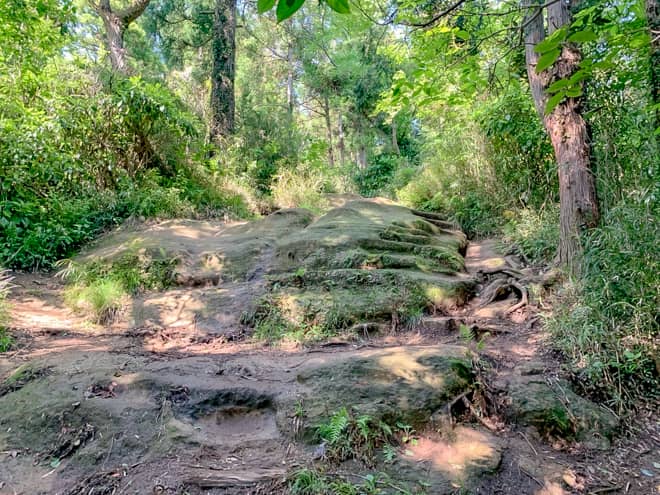 近いようで遠い山頂といった印象です