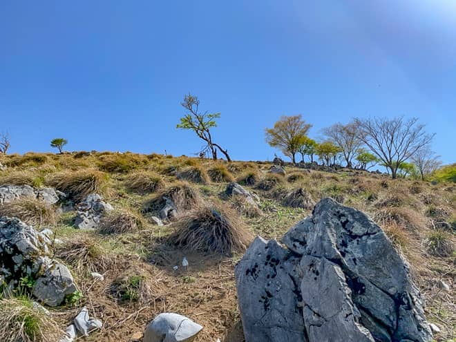近いようで遠い森林限界が