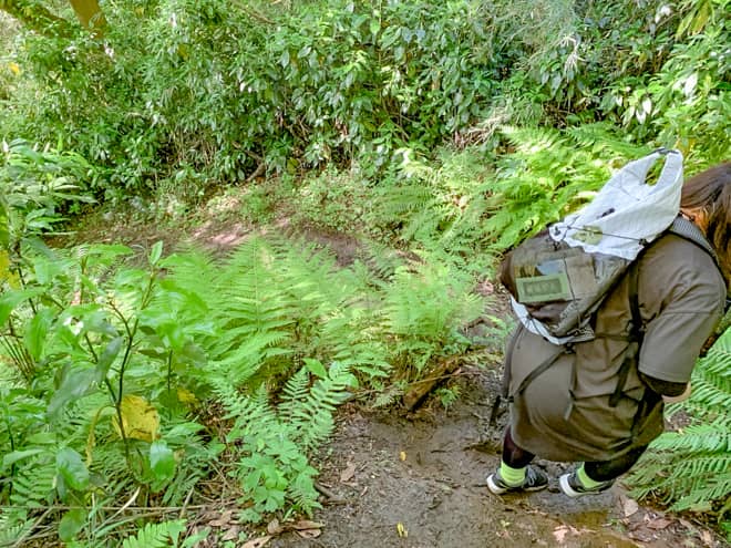 道は狭く、日があたらない場所