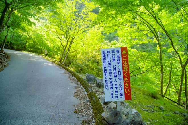 霊仙山は「花の百名山」に選定された山で