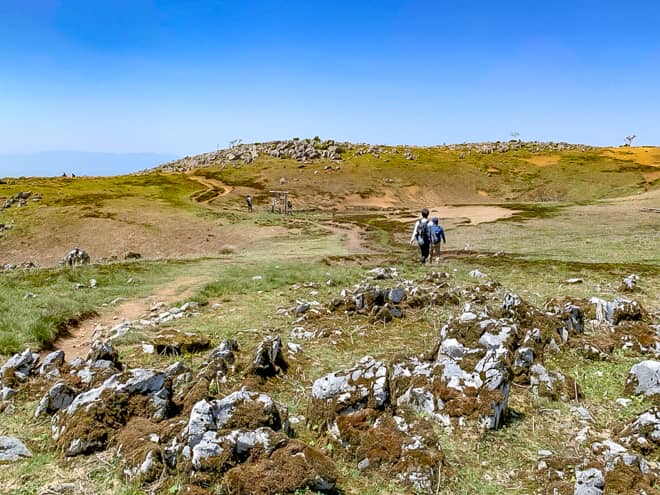 霊仙山は基本、同じルートを使って往復するピストンルート