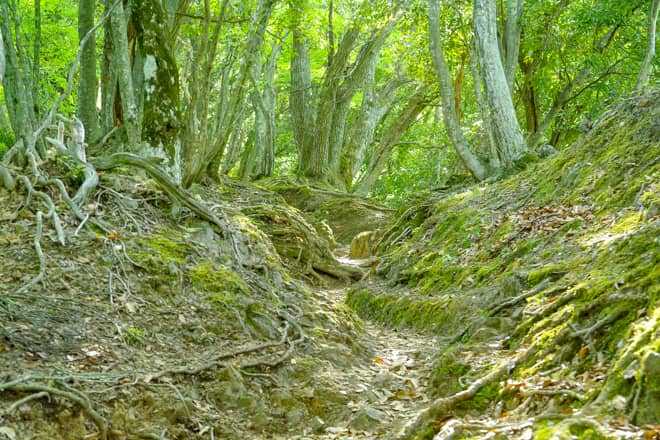 霊仙山は標高の割には登りごたえがあり