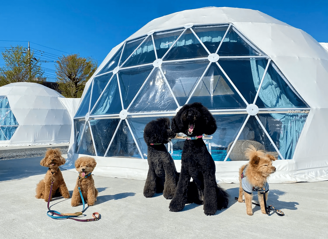 高滝湖グランピングリゾート_10