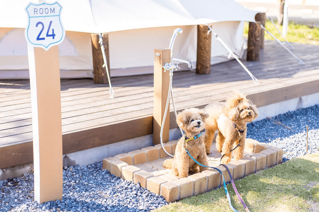 高滝湖グランピングリゾート_13