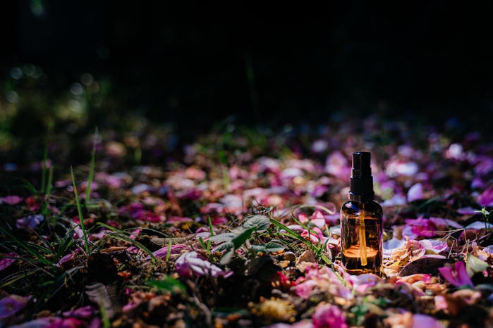 高滝湖グランピングリゾート_3