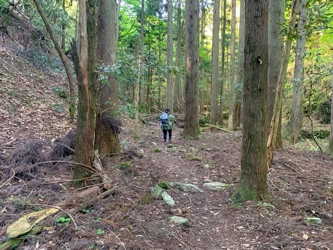 2合目の汗拭峠までは