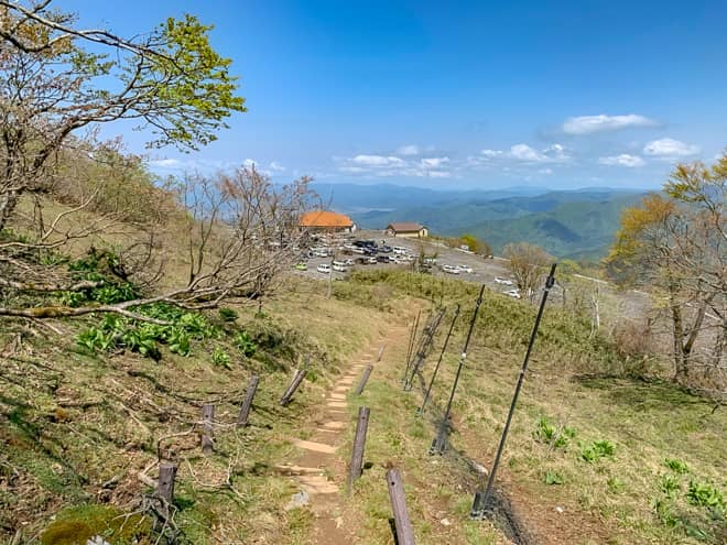 30分ほど歩くと