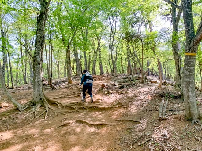 5合目の見晴台を目指す