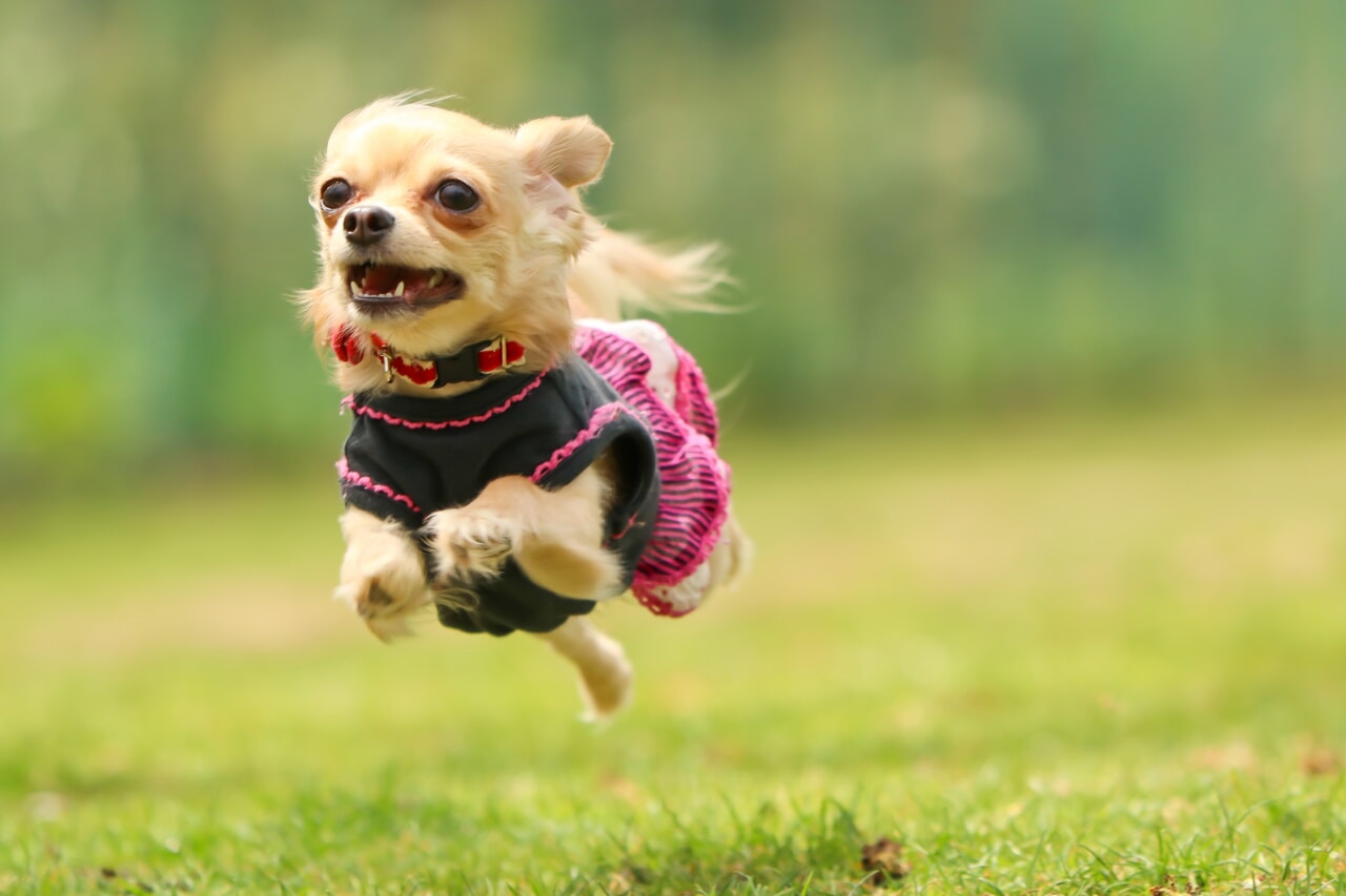 In the Outdoor白浜志原海岸_3