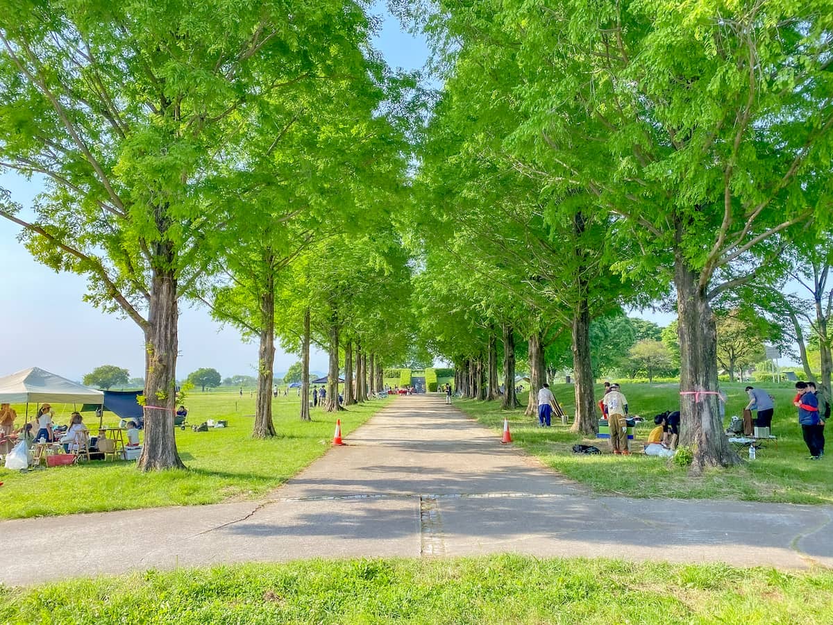 栃木「渡良瀬遊水地」キャンプやバーベキューが無料で楽しめる子供広場ゾーンを紹介