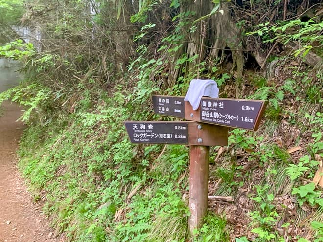 ちなみに右側の山道を進むと