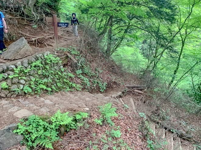 もし、体力に余裕があり