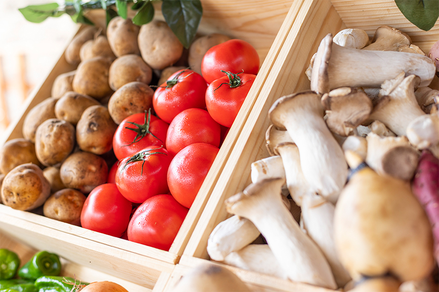 グランドーム野菜