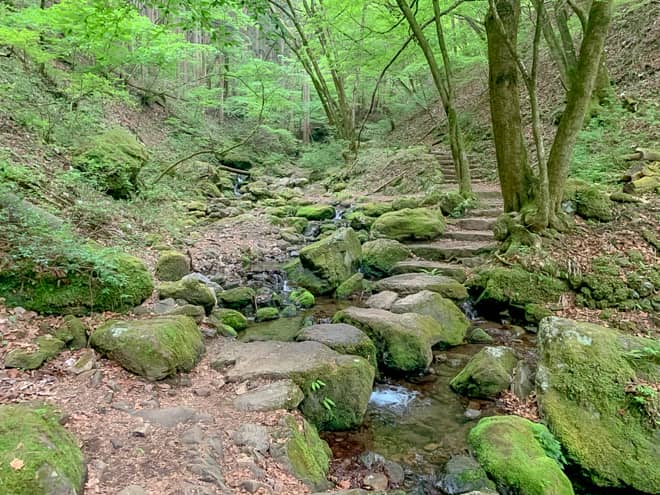 コケむした岩と清流を渡る飛び石は