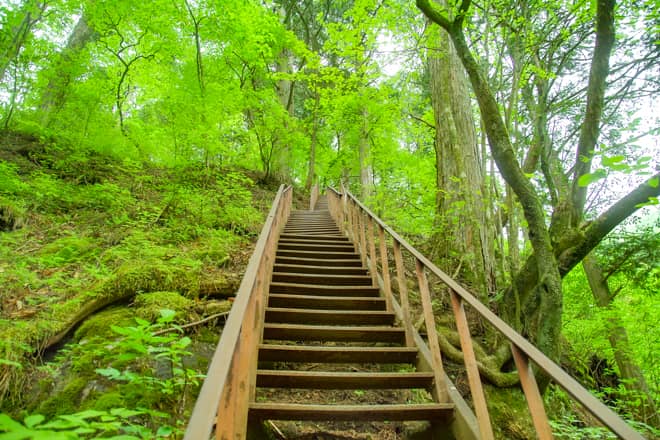 ハイキングコースはそこまで標高差も無く