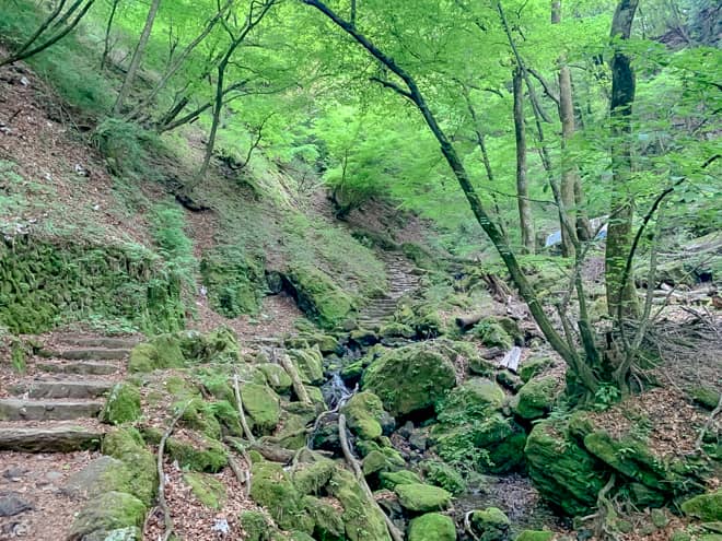 一面に広がる、苔むした岩場
