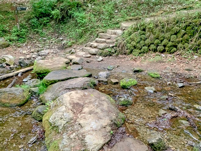 初めのうちはそこまで苔むす雰囲気