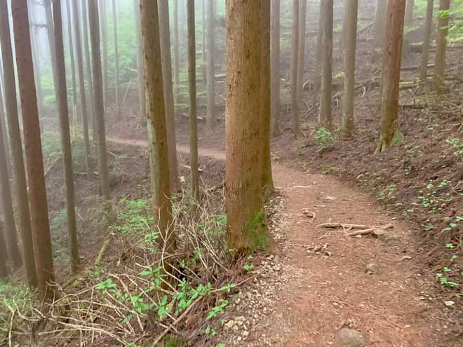 天狗岩のある場所までは大回りをしながら山道を下っていきます