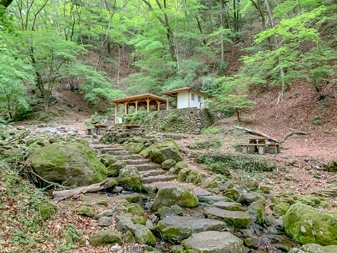 幻想的な景色を楽しみながら歩き進めていくと