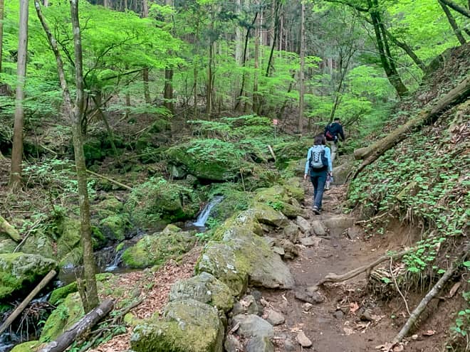 御岳山山頂より先は本格的な登山道になっていて