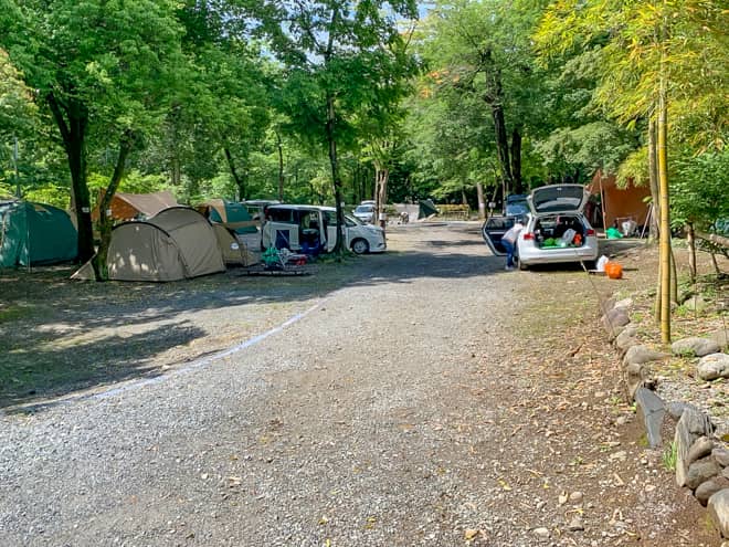 森に囲まれたフィールドは