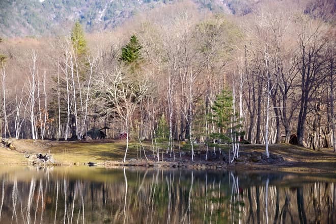 決して拝むことが出来ない特別な景色を楽しむことが出来る