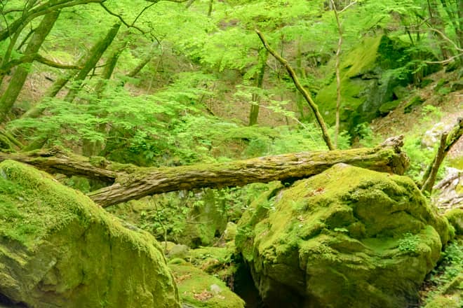 綾広の滝に近くなるほど