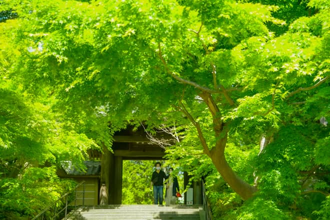 色々な観光名所に旅行感覚で行ける