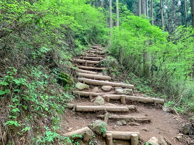 距離にして600メートルとはいえ