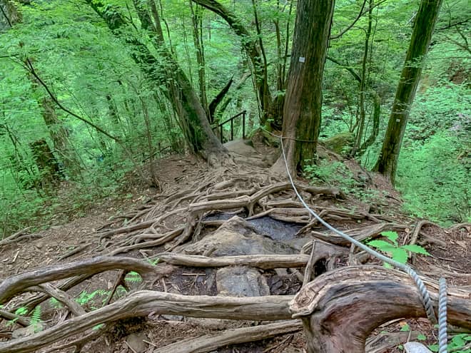 鉄階段を下りると、木の根トラップと傾斜が凄い下り坂