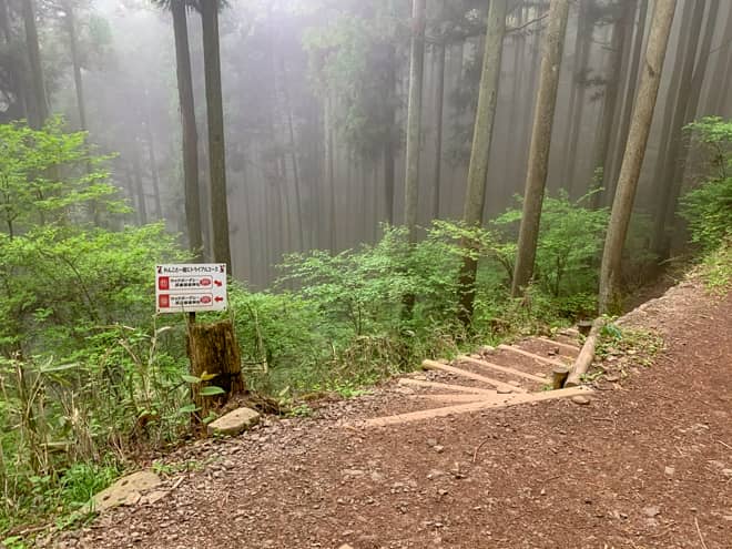 200メートル程進むと分岐点に差し掛かります