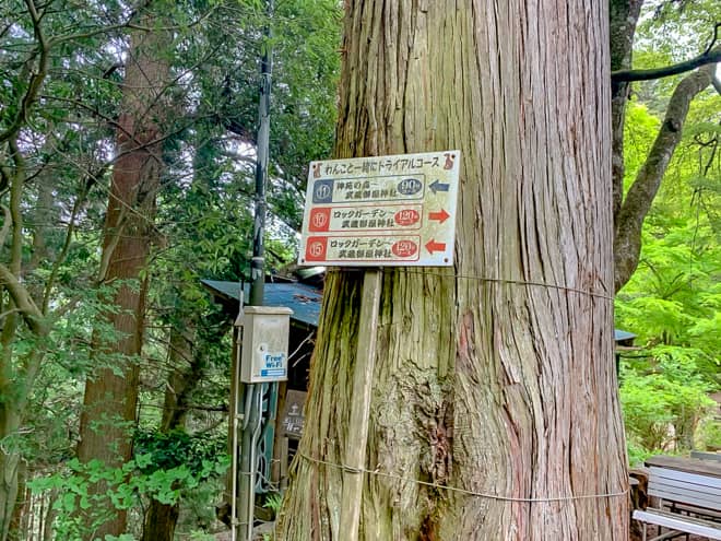 30分以上かけてやっと長尾平分岐に到着
