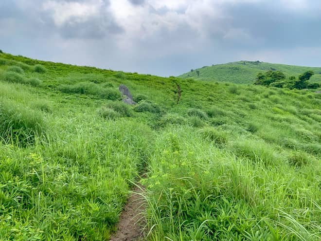 いままでのコースとは異なり