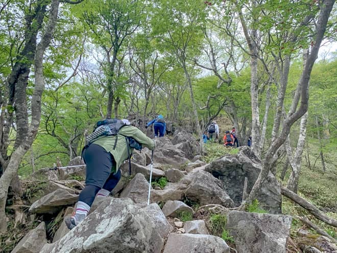 お察しの通り登山開始から6番標識までずっと同じような道のりで
