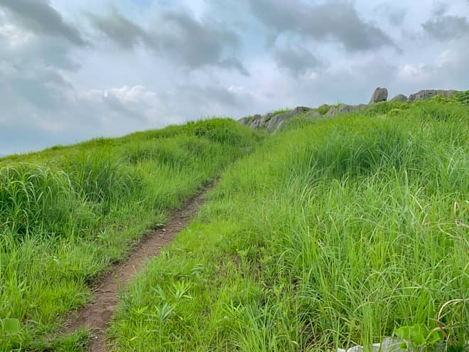 ここを登りきると冠山のようです