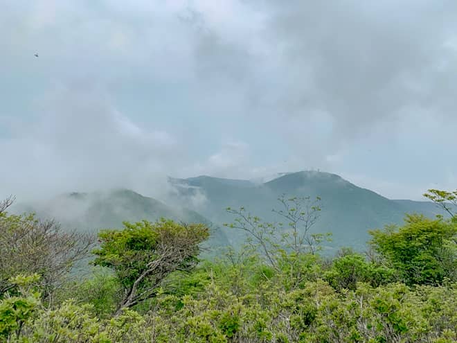 こちらが絶景スポットのようです