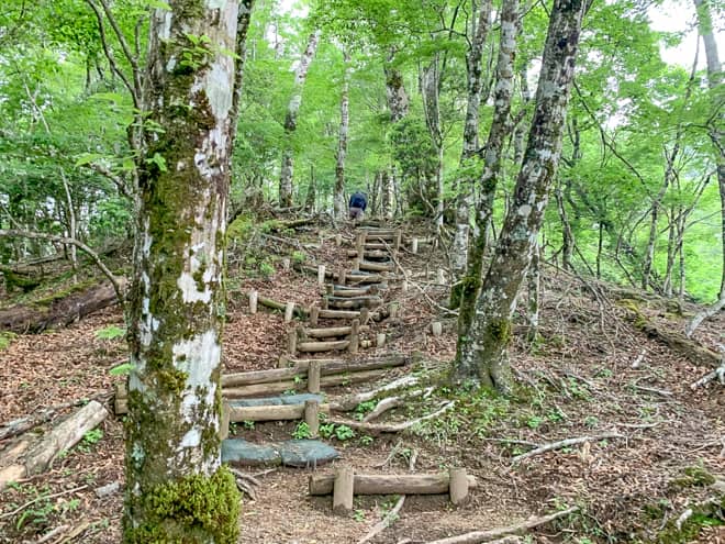 これでもかといわんばかりに階段地獄が続きます
