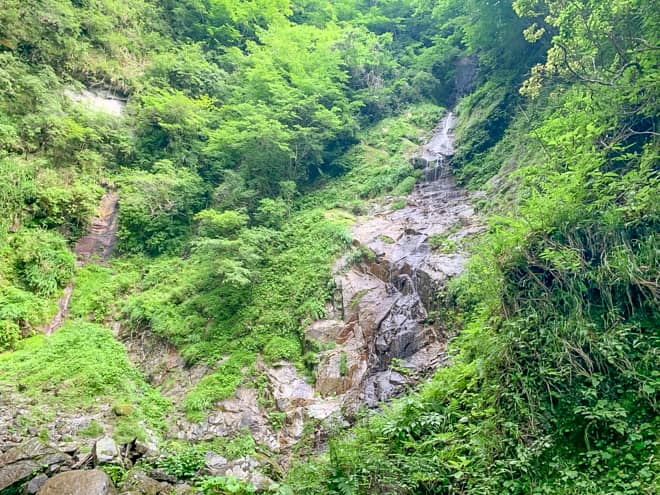 しかも運が良いことに