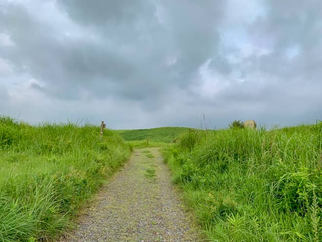 するとすぐにまた分岐が現れるのですが