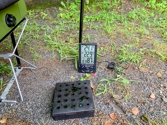 それ以上に大変だったのはスズメバチです