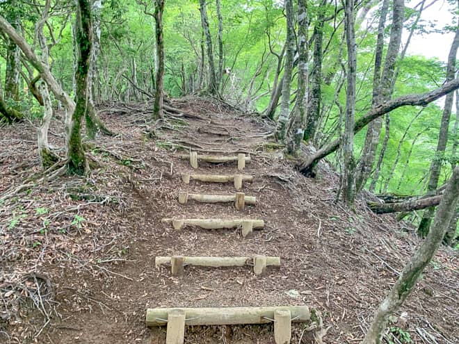 というのが、山頂までは標高差150メートル程度と