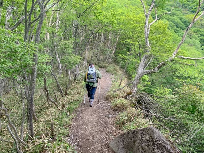 ほんの少しの区間だけゴツゴツとした岩場は無くなり