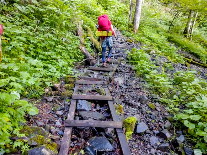 ゆるやかな登山道