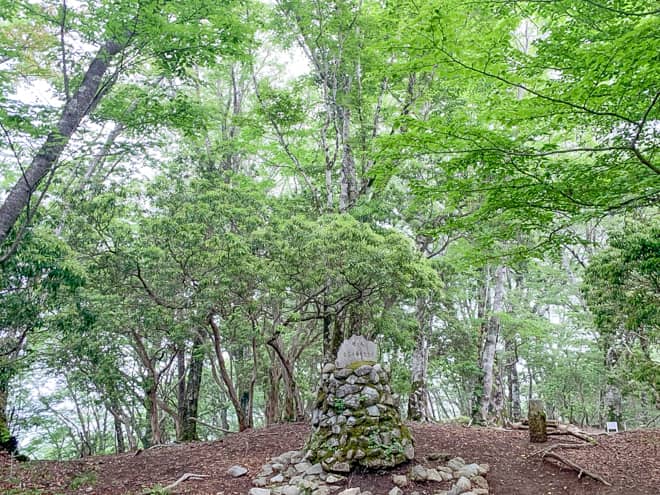 わかってはいましたが山頂は木々に囲まれ、景観はゼロです