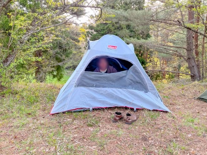 クイックアップIGシェード＋のフロント窓から顔を出す