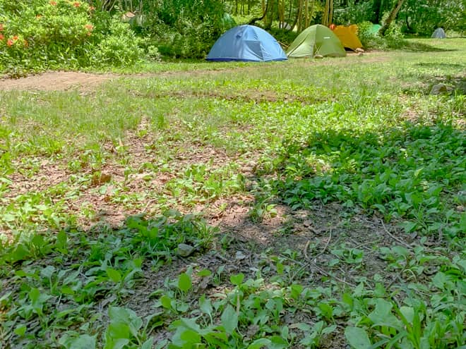 サイトの地面の特徴