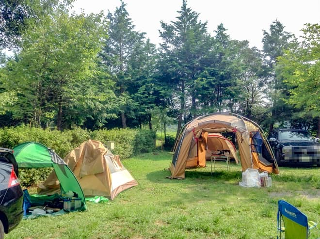 シェルターが蒸し風呂状態でサウナ体験